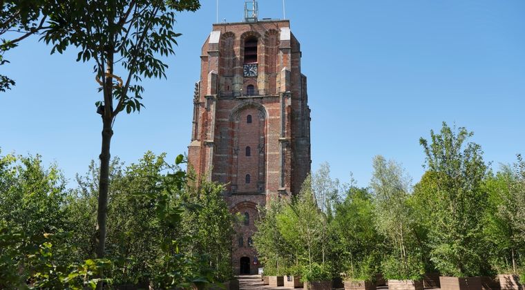 Leeuwarden zet in op biodiversiteit en vergroening met ambitieuze plannen