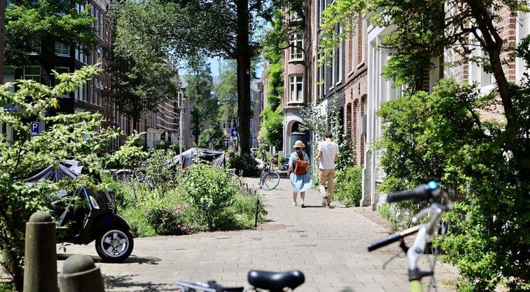 Toename verstening van steden in Nederland