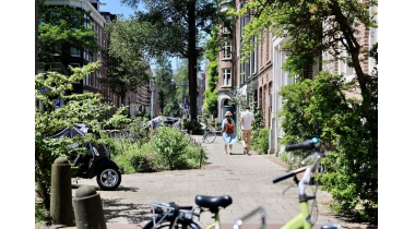 Toename verstening van steden in Nederland