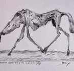 Enspired by the dog of Giacometti.