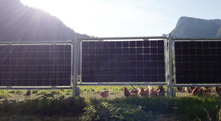  2-in-1 weideafrastering kan zonne-energie produceren