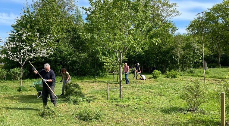 Dorpsboomgaard Heino: biodiversiteitshub gerund door vrijwilligers