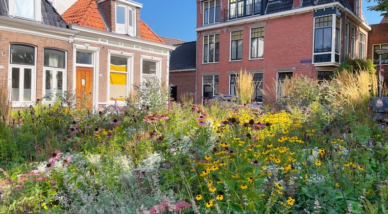 Eerste Overijsselse hoveniers ontvangen Natuur voor Elkaar-label