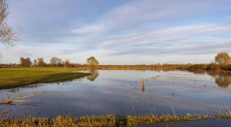 Natuurinclusief bouwen in uiterwaarden