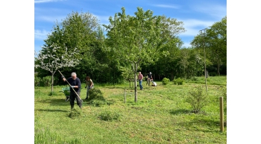 Dorpsboomgaard Heino: biodiversiteitshub gerund door vrijwilligers