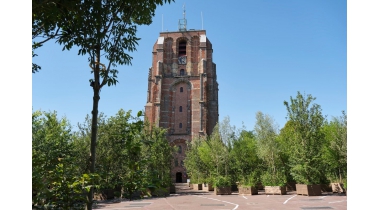 Leeuwarden maakt via beleidskader werk van biodiversiteit en vergroening