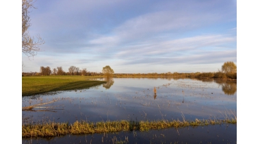 Natuurinclusief bouwen in uiterwaarden