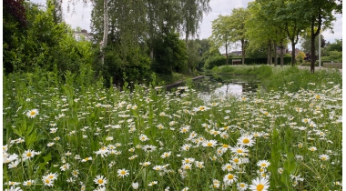 Steenwijkerland op weg naar een natuurinclusieve toekomst 