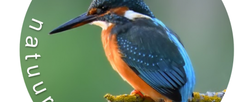 Logo Natuurscherm.com
